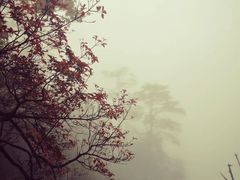 -峨眉山风景名胜区