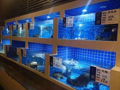 水产区-大理实力希尔顿酒店御璽中餐厅YUXI – CHINESE RESTAURANT