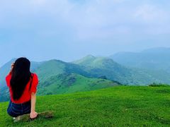 -大姆山草场