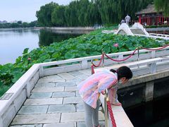 -后海公园