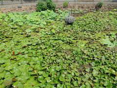 -南通博物苑-崇川人民公园