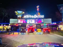 -枫花园汽车电影院(朝阳公园店)