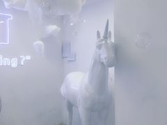 -深圳独角兽星空艺术馆