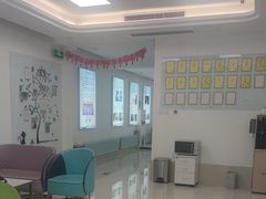 -北京观赏动物医院·24小时大型综合·猫专科·异宠专科