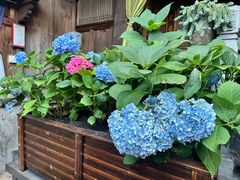 -龙姐私房菜(和顺古镇店)