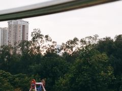 -广州动物园
