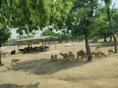 -西安秦岭野生动物园