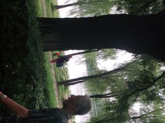 -长春市南湖公园