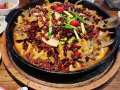 -老板恋上鱼(印象城店)