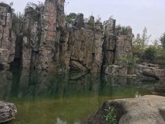 -秀丽东方