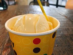 -莓园冰淇淋店