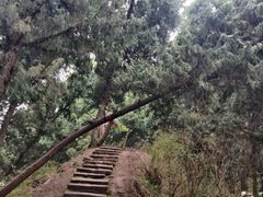 -金堂县云顶石城风景区