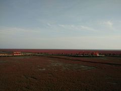 -红海滩国家风景廊道