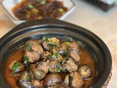 -千岛湖小鱼儿·淳安匠心农家菜