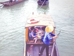 -溱湖国家湿地公园