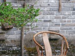 大堂-青城甲(青城山店)