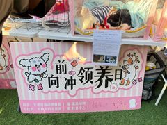 -瑞虹新天地月亮湾