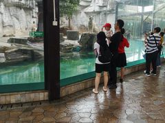 -灵玲国际马戏城