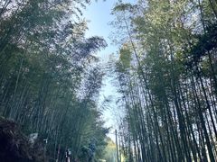 -千泷沟大瀑布旅游区