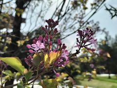 -唐城墙遗址公园