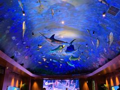 -海游荟·海洋文化餐厅(福田店)