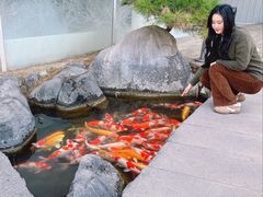 -罗红摄影艺术馆