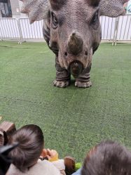 -恐龙探索乐园(磁器口店)