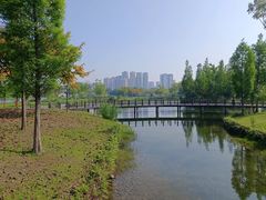 -眉山湿地公园(东坡区)