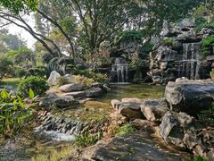 -东莞植物园