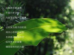 -曼朗心理咨询·旗舰店
