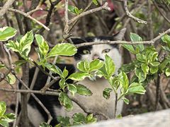 -厦门国家会计学院