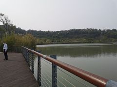 -飞凤山奥体公园