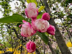 -元大都城垣遗址公园