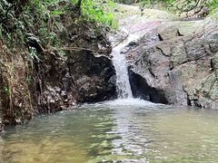 -阳台山森林公园