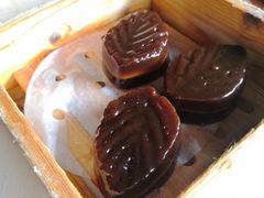 -侨美·唐荔园·40年地道粤菜