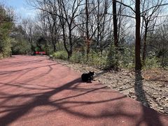 -敬亭山风景名胜区