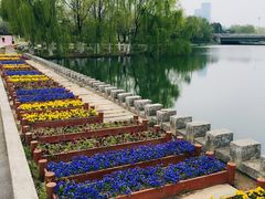 -滨湖塘西河公园