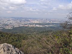 -紫金山山顶公园