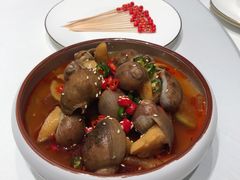 酸辣黄金螺-阿五黄河大鲤鱼(海尚店)
