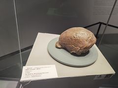 -北京周口店北京人遗址博物馆