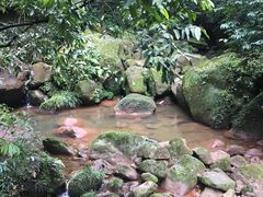 -赤水丹霞旅游区·佛光岩