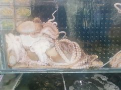 -小船渔村•大连菜•大连焖鱼(明泽街店)