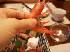 -松子日式料理(东朝阳路店)