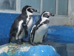 -太平洋海底世界