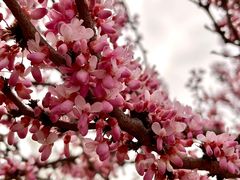 -桤木河湿地公园