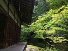 -西芳寺(苔寺)