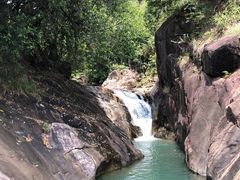 -广州白江湖森林公园