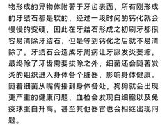 -瑞派申生动物医院·24H夜诊·国际动物医疗中心·骨外科(吴中路店)