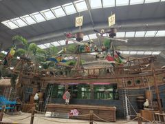 -南宫五洲植物乐园