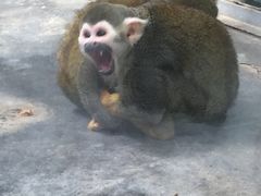 -西安秦岭野生动物园